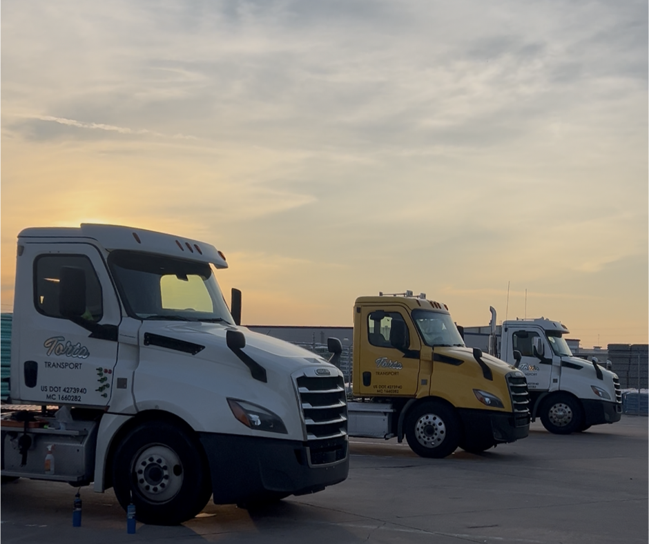 Three commercial trucks with matching company logos, USDOT numbers, and fleet graphics for consistent vehicle branding.